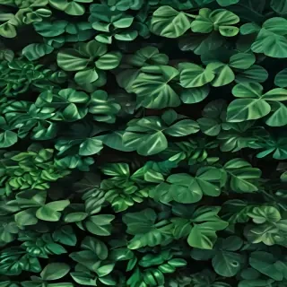 aesthetic green background