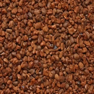 brown backgrown