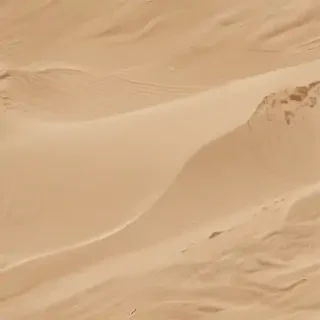 cartoon sand