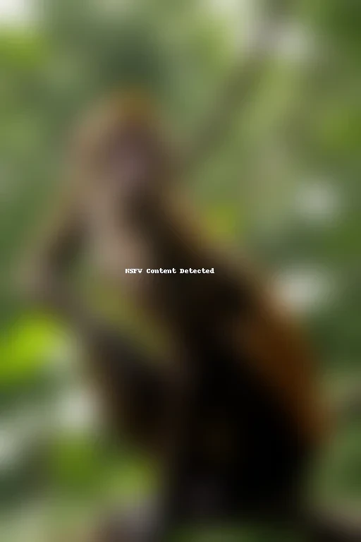 background monkey