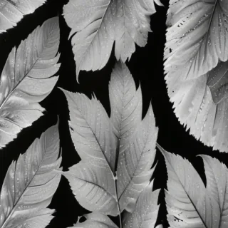 leaves black and white