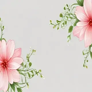 transparent flower border