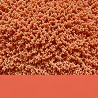 coral color