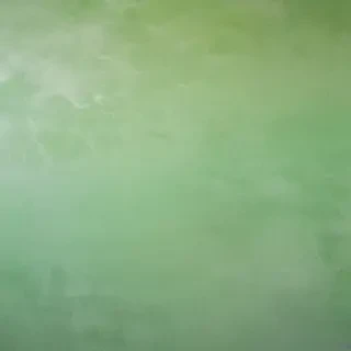 light green background plain