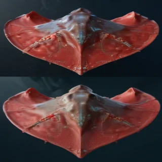 stingray png
