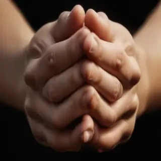 pray hands png