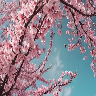 spring wallpaper iphone