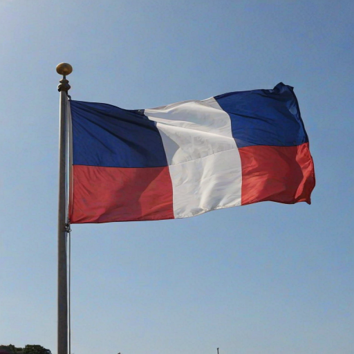 french flag