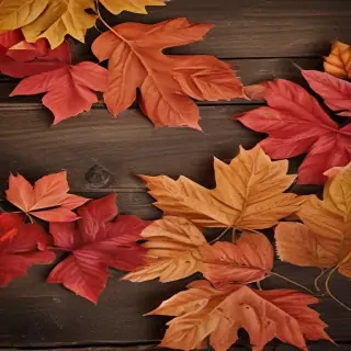 fall wallpaper
