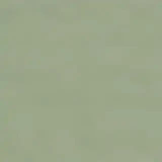 sage green wallpaper iphone