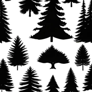 pine tree silhouette png