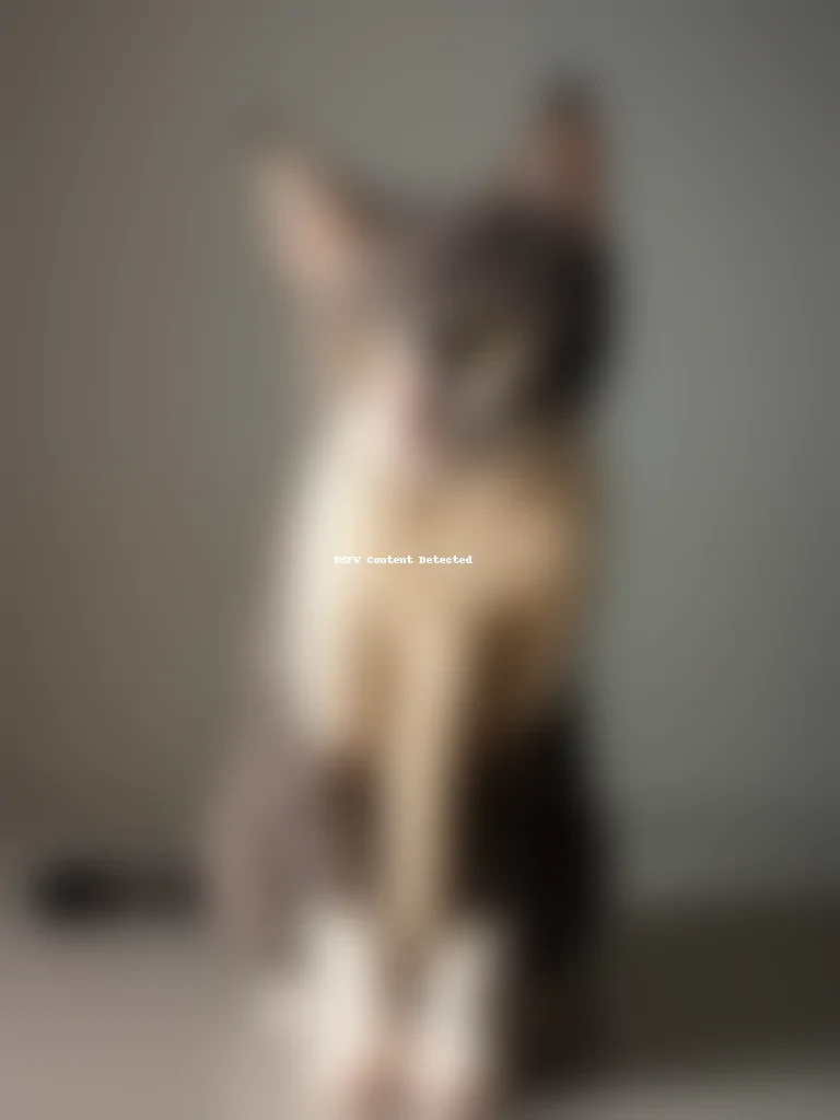 cat g i f