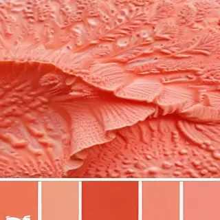 coral color