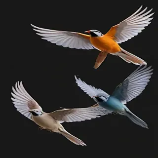 birds flying transparent background