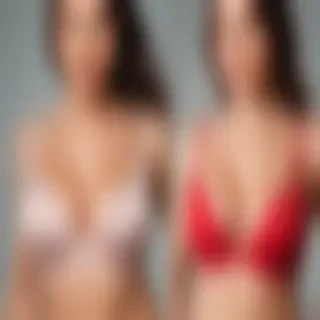 bra png