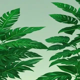 green aesthetic png