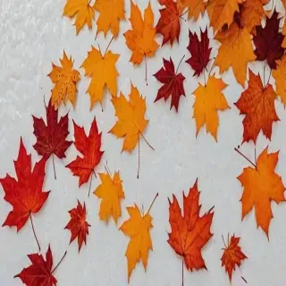 fall wallpaper iphone aesthetic