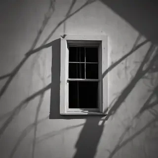 shadow window
