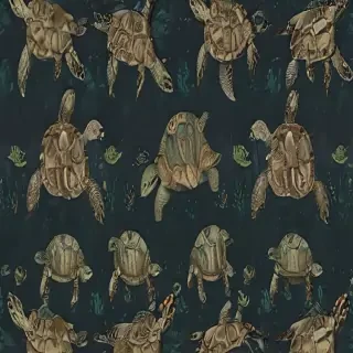 turtle wallpaper