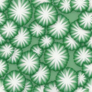 green white background