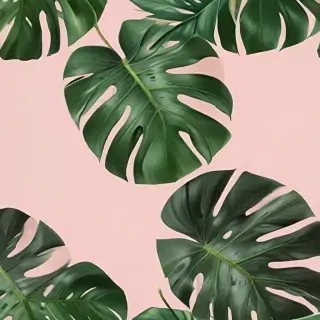 aesthetic monstera wallpaper