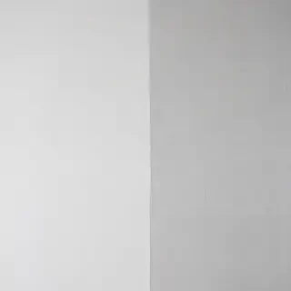 white grey background