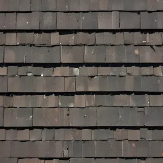 pictures of shingles