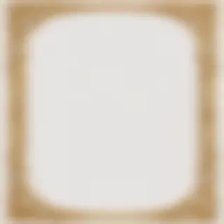gold border transparent