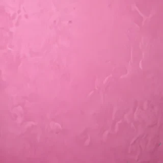 pink wallpaper plain