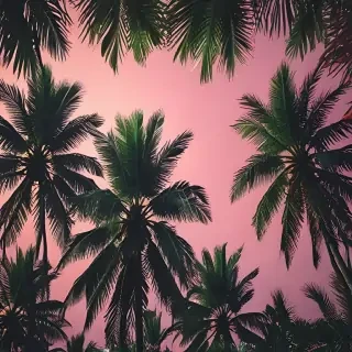tropical iphone wallpaper