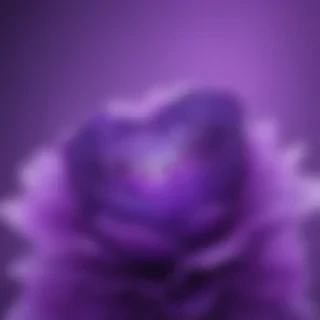 cute purple wallpaper for iphone