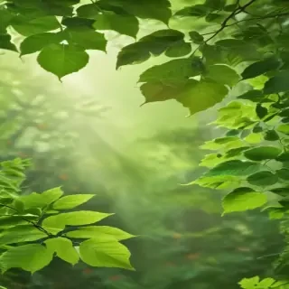 green leaves background