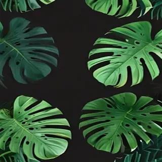 aesthetic monstera wallpaper