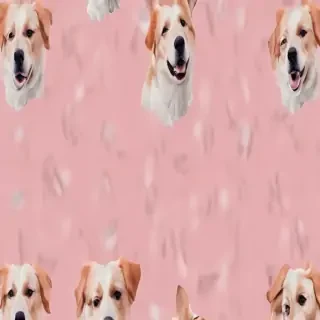 aesthetic dog wallpaper