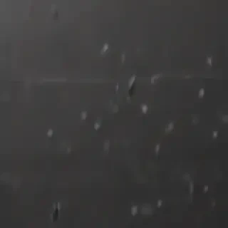 monotone