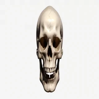 skull transparent