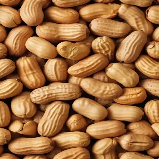 peanut png