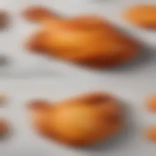 fried chicken png