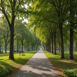 park png