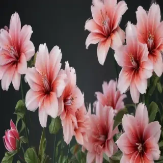 aesthetic flowers png