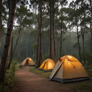 camping png