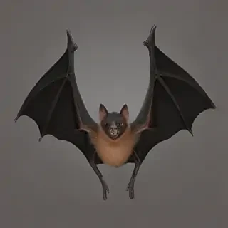 bat png