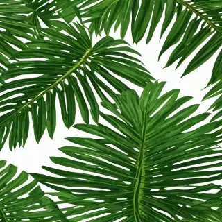 palm tree leaf png