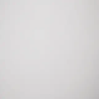 white background