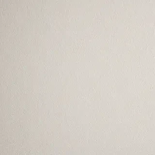 white wall paper