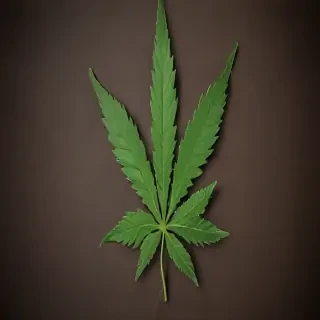 marijuana leaf
