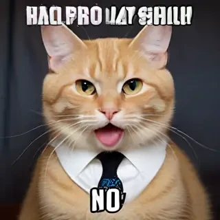funny picture