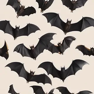 bats png