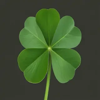 clover png