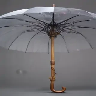 umbrella transparent background